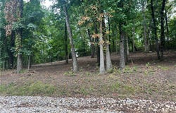 Willow Ridge Road lot: 31, Lake Ozark, MO 65049