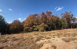 46 Summer Sky Drive, Greenbrier, AR 72058
