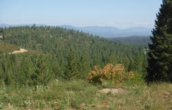 Lot 5 Moose Ridge Way, Loon Lake, WA 99148