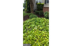 402 VILLAGE CENTER BOULEVARD, MILTON, DE 19968