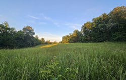 004 Tomahawk Slab Road, Saint Joe, AR 72675