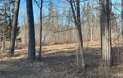 Tbd Woodland Park, Hill City, MN 55748
