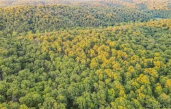 37.42 Tbd Broads Branch Road, Macks Creek, MO 65786