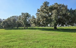 23220 NW 27TH ST, MORRISTON, FL 32668