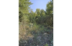 926 E 555th Road, Pleasant Hope, MO 65725