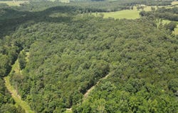 881 Driftwood Drive, Pineville, AR 72566