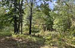 Tbd Broken Bow Trl., Lonsdale, AR 72087