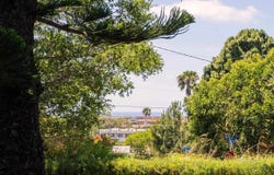 460 Palmitas St, Solana Beach, CA 92075