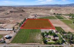 3343 C Road, Palisade, CO 81526