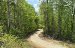 1300 Clay Camp Road, Hitchins, KY 41146
