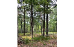 2.5 Acres COUNTY ROAD Y, Tomahawk, WI 54487