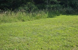 Cornbread Ridge Road, Princeton, WV 24940