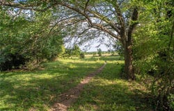 9525 S Hickory Loop County Road, Calvert, TX 77837