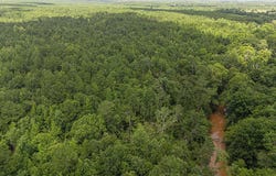 47 Burton Drive, Edgefield, SC 29824