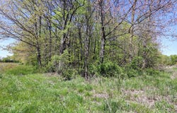 Vl Benny Ct (Private), Grand Junction, MI 49056