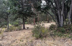 Lot 29 Siskin Lane, Klamath Falls, OR 97601