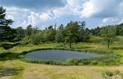 7317 County Highway 33, Kortright, NY 13739