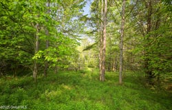 L22.22 Mud Road, Laurens, NY 13796