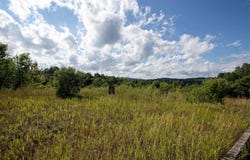 00 Deer Creek Lane, St. Johnsbury, VT 05819