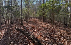 5  Meadow Cir, Williamsburg, VA 23188