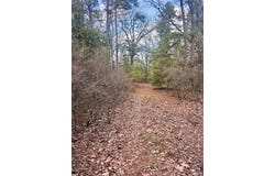 000 Private Road 8000, Winnsboro, TX 75494