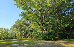 23 White Street, Sumter, SC 29150
