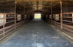 10145 Friendship Road, Pilot Point, TX 76258