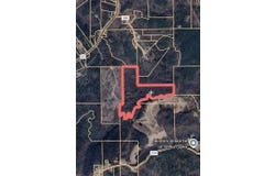 COUNTY ROAD 25, Lynn, AL 35575