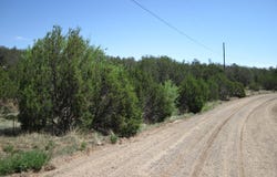 152 Jesse James Road, Edgewood, NM 87015