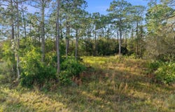 10649 Lighter Wood Lane, Fort Pierce, FL 34945