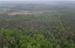 Tbd Moorhead Road, Twin Lakes Twp, MN 55720