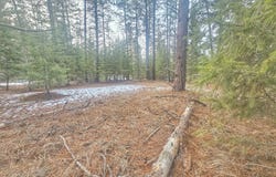 270 EAGLE DR, CHEWELAH, WA 99109