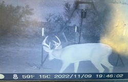 Tbd FM 1168, Paducah, TX 79248