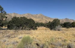 Big Springs RD, Lake Isabella, CA 93240