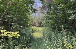 Allen Road, Sardinia, NY 14055