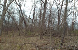 TBD Dog Hollow, WIOTA, WI 53504
