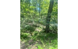 Sunshine Lane, WHITE OAK, WV 25989