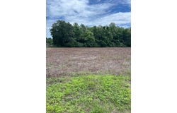 Lot B-3 Reeves Farm Road, Saint George, SC 29477