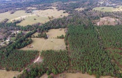 353 An County Road 2139, Palestine, TX 75801