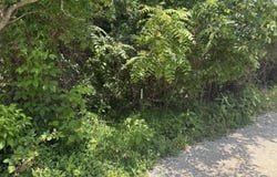 Edgar Basham Rd, Irvington, KY 40146