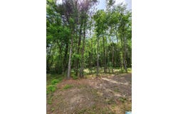 211 PARK AVENUE, MOODY, AL 35004