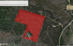 204 COUNTY ROAD 3055, Double Springs, AL 35553