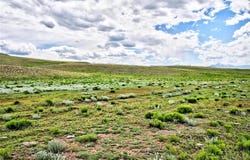 313 WATONGA ROAD, Hartsel, CO 80449