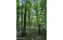 L20.44 Robinson Hollow Way, Stephentown, NY 12168
