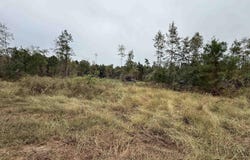 CR 314 - 15 acres, Henderson, TX 75652