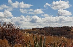 TBD Road C, Dove Creek, CO 81324