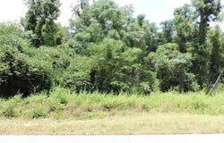 0 Ridge Road, Greenville, AL 36037