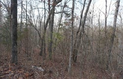000 Algonquin Circle, Cherokee Village, AR 72529