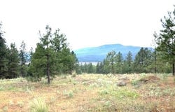1321 SUNSET WAY, KETTLE FALLS, WA 99141