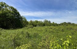 1 VL Fairview Road, Farmersville Station, NY 14060